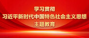 鸡巴日逼视频免费看污污污学习贯彻习近平新时代中国特色社会主义思想主题教育_fororder_ad-371X160(2)